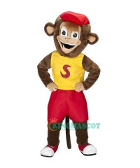 Monkeys, Gorillas