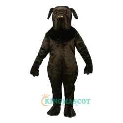 Newfoundland Uniform, Newfoundland Mascot Costume
