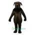 Newfoundland Uniform, Newfoundland Mascot Costume