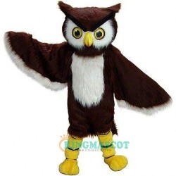 Owl Uniform, Owl Mascot Costume