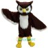 Owl Uniform, Owl Mascot Costume