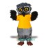 Owl Uniform, Owl Mascot Costume