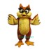 Owl Uniform, Owl Mascot Costume