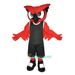 Owl Uniform, Owl Mascot Costume