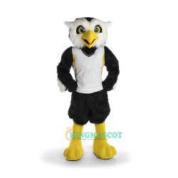 Owl Uniform, Owl Mascot Costume
