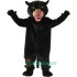 Panther Uniform, Panther Mascot Costume