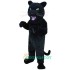 Panther Uniform, Panther Mascot Costume
