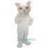 Persian Cat Mascot, Persian Cat Mascot