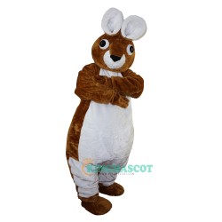 Peter Rabbit Uniform Bunny Uniform, Peter Rabbit Costume Bunny Mascot Costume