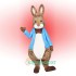 Peter Rabbit Uniform, Peter Rabbit Mascot Costume