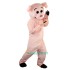 Pink Pig Uniform, Pink Pig Mascot Costume