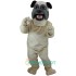 Pug Uniform, Pug Mascot Costume