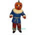 Pumpkin Uniform, Pumpkin Mascot Costume