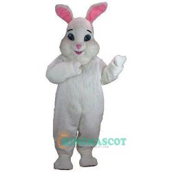 Rabbit Uniform, Rabbit Mascot Costume
