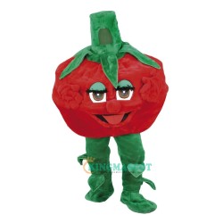 Lovely Raspberry Uniform, Lovely Raspberry Mascot Costume