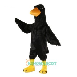 Raven Uniform, Raven Mascot Costume
