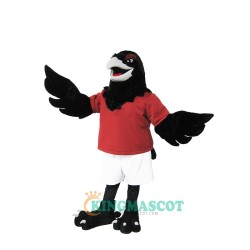 Raven Uniform, Raven Mascot Costume