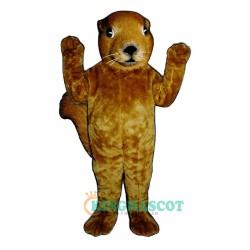 Realistic Squirrel Uniform, Realistic Squirrel Mascot Costume