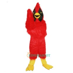 Red Eagle Bird Uniform, Red Eagle Bird Mascot Costume