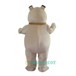 Funny Dog Uniform, Funny Dog Mascot Costume
