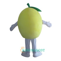 Fruit Grapefruit Uniform, Fruit Grapefruit Mascot Costume