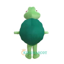 Green Turtle Custom Uniform, Green Turtle Custom Mascot Costume