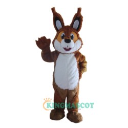 Brown Squirrel Custom Uniform, Brown Squirrel Custom Mascot Costume