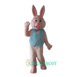 Rabbit Uniform, Celebrating the Easter Bunny Rabbit Mascot Costume