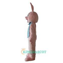 Rabbit Uniform, Celebrating the Easter Bunny Rabbit Mascot Costume