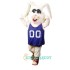 Sebastian Rabbit Uniform, Sebastian Rabbit Mascot Costume