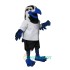 Skipper the Sea Hawk Uniform, Skipper the Sea Hawk Mascot Costume