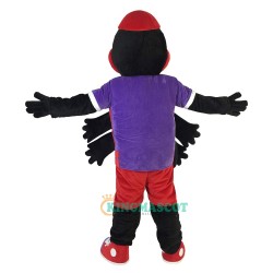 Spider Araneid Spinner Flycatcher Fly-flap Cartoon Uniform, Spider Araneid Spinner Flycatcher Fly-flap Cartoon Mascot Costume