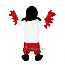 Bird, Sport Red Eagle