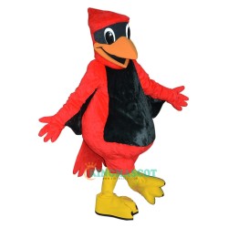 St Thomas Aquinas Cardinal Uniform, St Thomas Aquinas Cardinal Mascot Costume