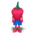 Strawberry Character Uniform, Strawberry Character Mascot Costume