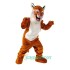 Tiger Uniform, Tiger Mascot Costume