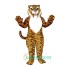 Tiger Uniform, Tiger Mascot Costume