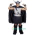 Viking Uniform, Viking Mascot Costume