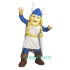 Viking Uniform, Viking Mascot Costume