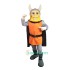 Viking Uniform, Viking Mascot Costume