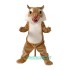 Wildcat Uniform, Wildcat Mascot Costume