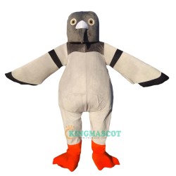 pigeon dove bird of peace Uniform, pigeon dove bird of peace Mascot Costume
